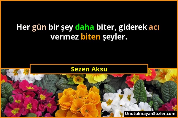 Sezen Aksu - Her gün bir şey daha biter, giderek acı vermez biten şeyler....