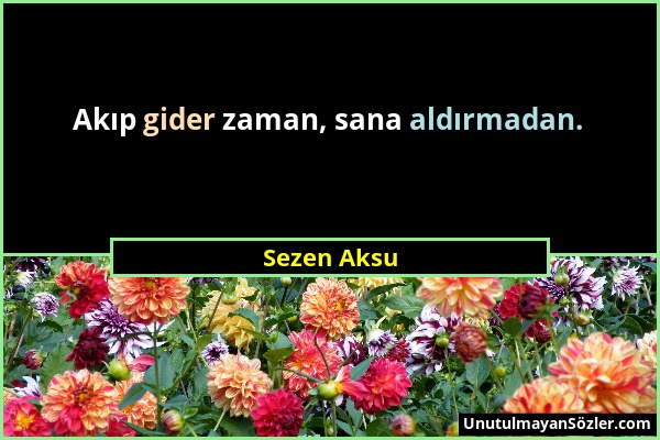 Sezen Aksu - Akıp gider zaman, sana aldırmadan....