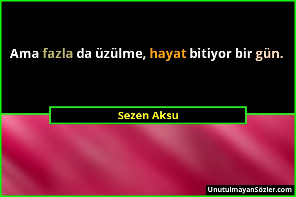 Sezen Aksu - Ama fazla da üzülme, hayat bitiyor bir gün....