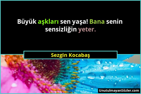 Sezgin Kocabaş - Büyük aşkları sen yaşa! Bana senin sensizliğin yeter....