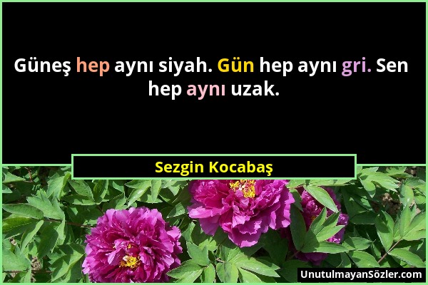 Sezgin Kocabaş - Güneş hep aynı siyah. Gün hep aynı gri. Sen hep aynı uzak....