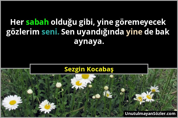 Sezgin Kocabaş - Her sabah olduğu gibi, yine göremeyecek gözlerim seni. Sen uyandığında yine de bak aynaya....