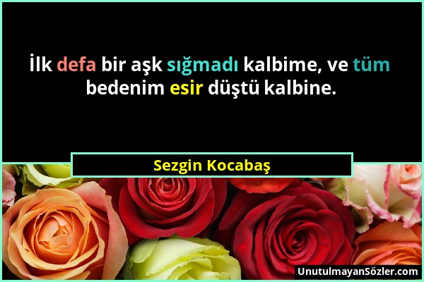 Sezgin Kocabaş - İlk defa bir aşk sığmadı kalbime, ve tüm bedenim esir düştü kalbine....