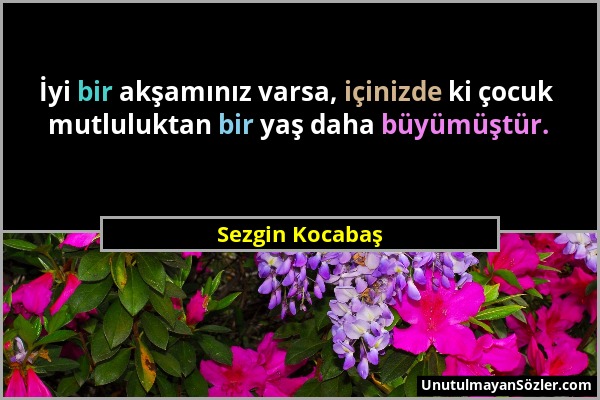 Sezgin Kocabaş - İyi bir akşamınız varsa, içinizde ki çocuk mutluluktan bir yaş daha büyümüştür....