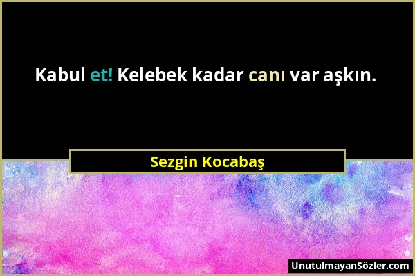 Sezgin Kocabaş - Kabul et! Kelebek kadar canı var aşkın....