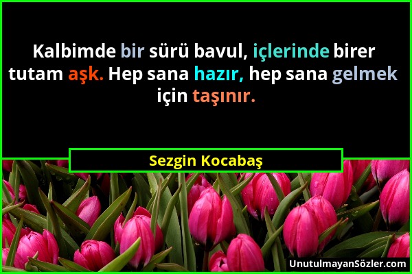 Sezgin Kocabaş - Kalbimde bir sürü bavul, içlerinde birer tutam aşk. Hep sana hazır, hep sana gelmek için taşınır....