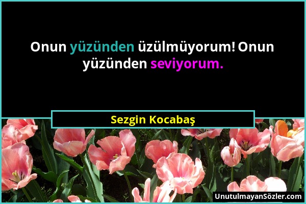 Sezgin Kocabaş - Onun yüzünden üzülmüyorum! Onun yüzünden seviyorum....