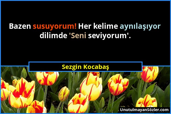 Sezgin Kocabaş - Bazen susuyorum! Her kelime aynılaşıyor dilimde 'Seni seviyorum'....