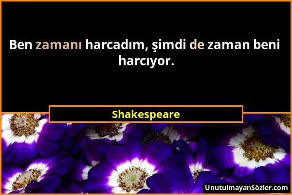 Shakespeare - Ben zamanı harcadım, şimdi de zaman beni harcıyor....