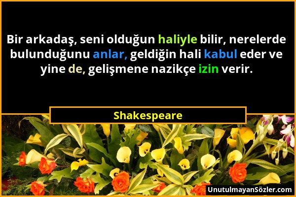 Shakespeare - Bir arkadaş, seni olduğun haliyle bilir, nerelerde bulunduğunu anlar, geldiğin hali kabul eder ve yine de, gelişmene nazikçe izin verir....