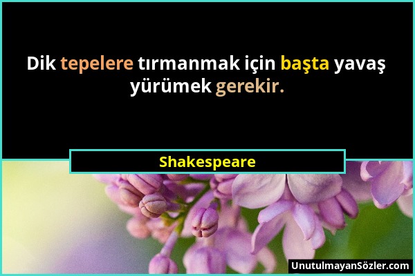 Shakespeare - Dik tepelere tırmanmak için başta yavaş yürümek gerekir....