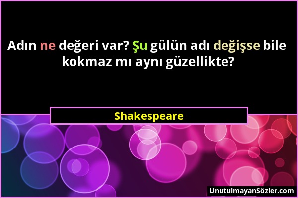 Shakespeare - Adın ne değeri var? Şu gülün adı değişse bile kokmaz mı aynı güzellikte?...