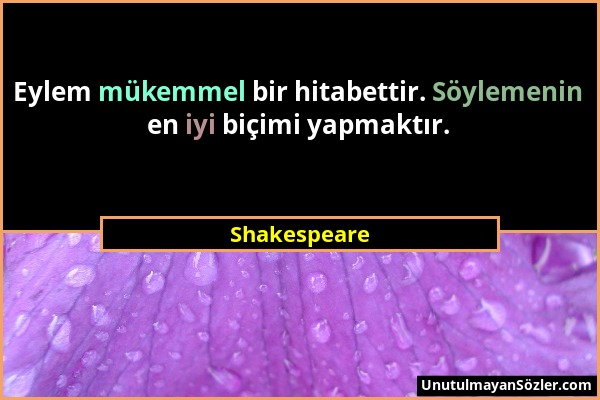 Shakespeare - Eylem mükemmel bir hitabettir. Söylemenin en iyi biçimi yapmaktır....