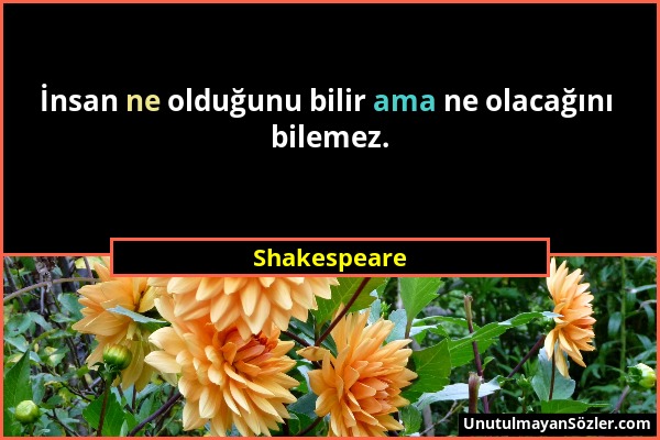 Shakespeare - İnsan ne olduğunu bilir ama ne olacağını bilemez....