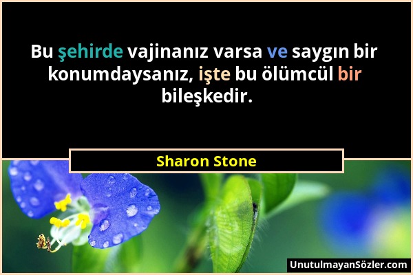 Sharon Stone - Bu şehirde vajinanız varsa ve saygın bir konumdaysanız, işte bu ölümcül bir bileşkedir....