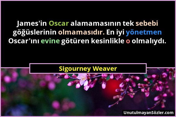 Sigourney Weaver - James'in Oscar alamamasının tek sebebi göğüslerinin olmamasıdır. En iyi yönetmen Oscar'ını evine götüren kesinlikle o olmalıydı....