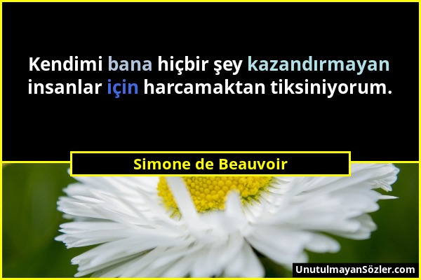 Simone de Beauvoir - Kendimi bana hiçbir şey kazandırmayan insanlar için harcamaktan tiksiniyorum....