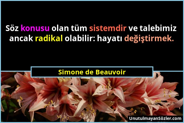 Simone de Beauvoir - Söz konusu olan tüm sistemdir ve talebimiz ancak radikal olabilir: hayatı değiştirmek....