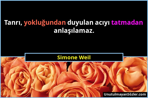 Simone Weil - Tanrı, yokluğundan duyulan acıyı tatmadan anlaşılamaz....
