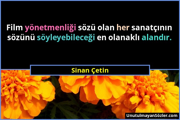 Sinan Çetin - Film yönetmenliği sözü olan her sanatçının sözünü söyleyebileceği en olanaklı alandır....