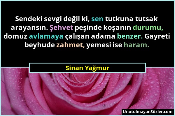 Sinan Yağmur - Sendeki sevgi değil ki, sen tutkuna tutsak arayansın. Şehvet peşinde koşanın durumu, domuz avlamaya çalışan adama benzer. Gayreti beyhu...