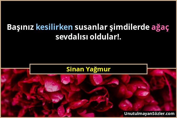 Sinan Yağmur - Başınız kesilirken susanlar şimdilerde ağaç sevdalısı oldular!....