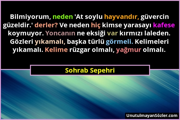 Sohrab Sepehri - Bilmiyorum, neden 'At soylu hayvandır, güvercin güzeldir.' derler? Ve neden hiç kimse yarasayı kafese koymuyor. Yoncanın ne eksiği va...