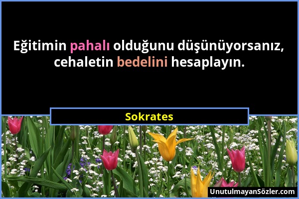 Sokrates - Eğitimin pahalı olduğunu düşünüyorsanız, cehaletin bedelini hesaplayın....