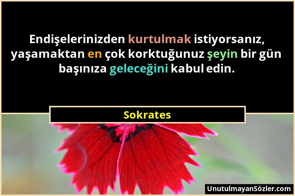 Sokrates - Endişelerinizden kurtulmak istiyorsanız, yaşamaktan en çok korktuğunuz şeyin bir gün başınıza geleceğini kabul edin....