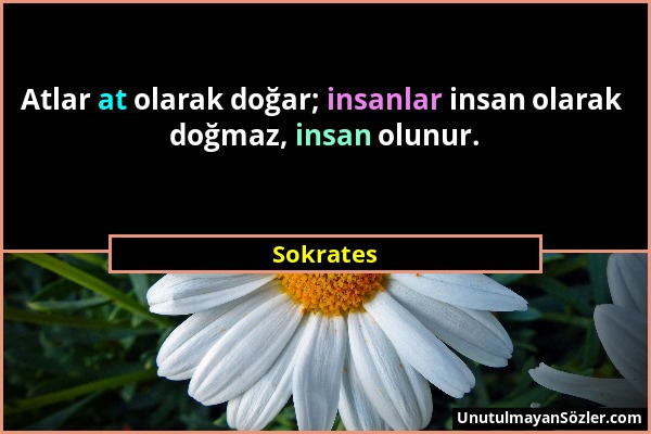 Sokrates - Atlar at olarak doğar; insanlar insan olarak doğmaz, insan olunur....