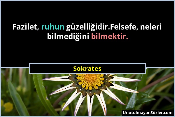 Sokrates - Fazilet, ruhun güzelliğidir.Felsefe, neleri bilmediğini bilmektir....