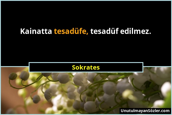 Sokrates - Kainatta tesadüfe, tesadüf edilmez....