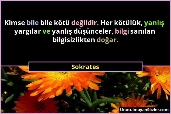 Sokrates - Kimse bile bile kötü değildir. Her kötülük, yanlış yargılar ve yanlış düşünceler, bilgi sanılan bilgisizlikten doğar....