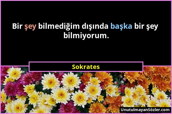 Sokrates - Bir şey bilmediğim dışında başka bir şey bilmiyorum....