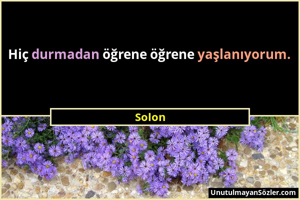 Solon - Hiç durmadan öğrene öğrene yaşlanıyorum....