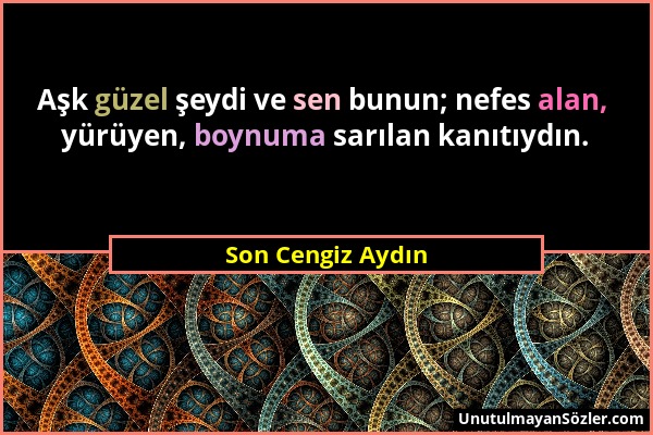 Son Cengiz Aydın - Aşk güzel şeydi ve sen bunun; nefes alan, yürüyen, boynuma sarılan kanıtıydın....