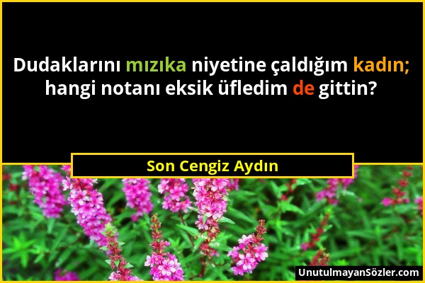 Son Cengiz Aydın - Dudaklarını mızıka niyetine çaldığım kadın; hangi notanı eksik üfledim de gittin?...