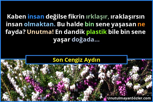 Son Cengiz Aydın - Kaben insan değilse fikrin ırklaşır, ıraklaşırsın insan olmaktan. Bu halde bin sene yaşasan ne fayda? Unutma! En dandik plastik bil...