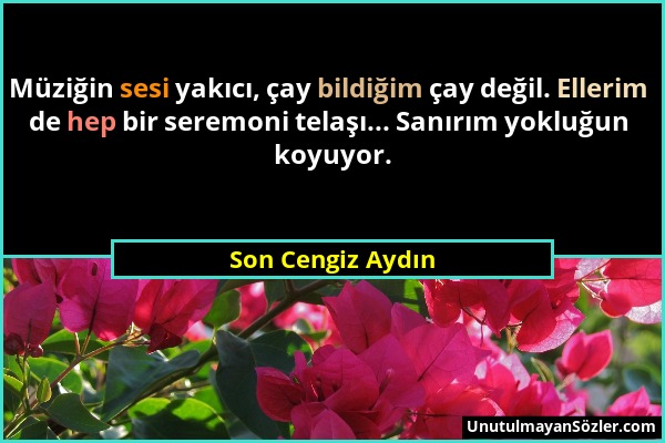 Son Cengiz Aydın - Müziğin sesi yakıcı, çay bildiğim çay değil. Ellerim de hep bir seremoni telaşı... Sanırım yokluğun koyuyor....