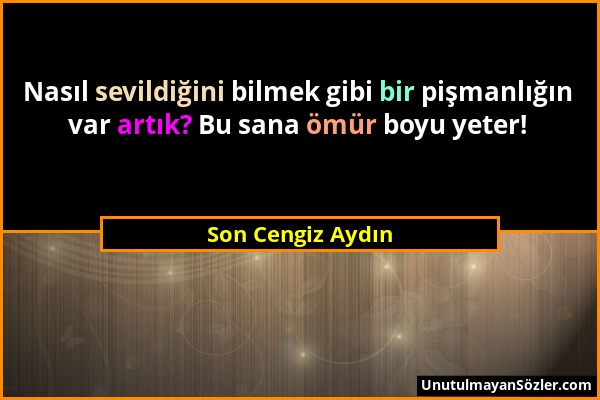 Son Cengiz Aydın - Nasıl sevildiğini bilmek gibi bir pişmanlığın var artık? Bu sana ömür boyu yeter!...