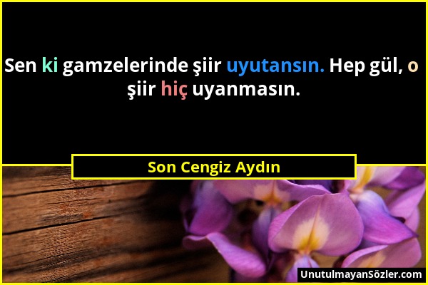 Son Cengiz Aydın - Sen ki gamzelerinde şiir uyutansın. Hep gül, o şiir hiç uyanmasın....