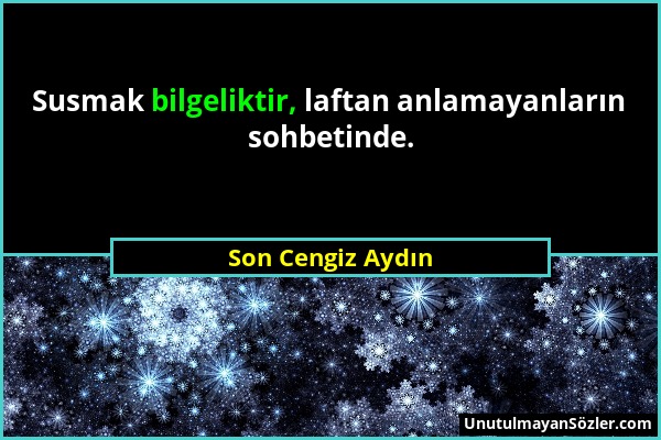 Son Cengiz Aydın - Susmak bilgeliktir, laftan anlamayanların sohbetinde....