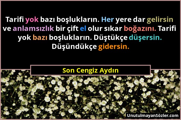 Son Cengiz Aydın - Tarifi yok bazı boşlukların. Her yere dar gelirsin ve anlamsızlık bir çift el olur sıkar boğazını. Tarifi yok bazı boşlukların. Düş...