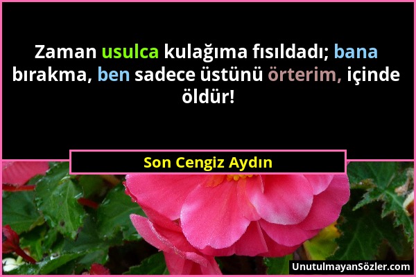 Son Cengiz Aydın - Zaman usulca kulağıma fısıldadı; bana bırakma, ben sadece üstünü örterim, içinde öldür!...