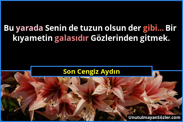 Son Cengiz Aydın - Bu yarada Senin de tuzun olsun der gibi... Bir kıyametin galasıdır Gözlerinden gitmek....