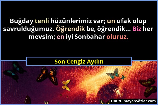 Son Cengiz Aydın - Buğday tenli hüzünlerimiz var; un ufak olup savrulduğumuz. Öğrendik be, öğrendik... Biz her mevsim; en iyi Sonbahar oluruz....