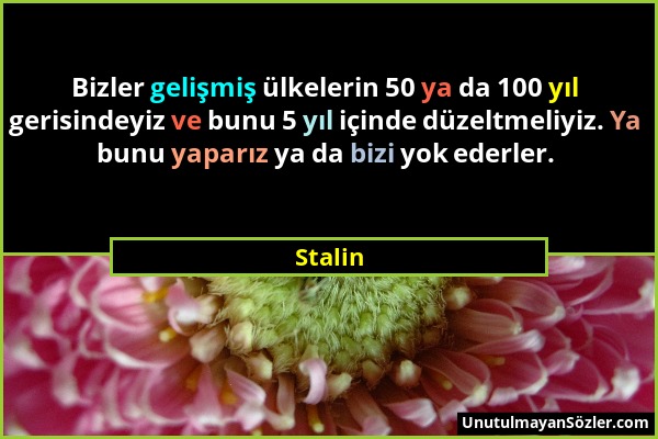 Stalin - Bizler gelişmiş ülkelerin 50 ya da 100 yıl gerisindeyiz ve bunu 5 yıl içinde düzeltmeliyiz. Ya bunu yaparız ya da bizi yok ederler....