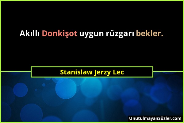 Stanislaw Jerzy Lec - Akıllı Donkişot uygun rüzgarı bekler....