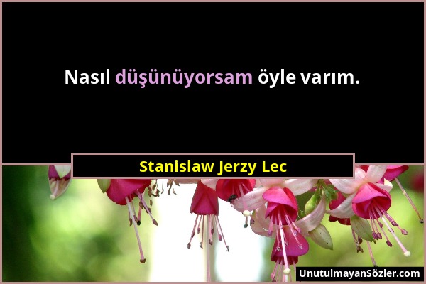 Stanislaw Jerzy Lec - Nasıl düşünüyorsam öyle varım....
