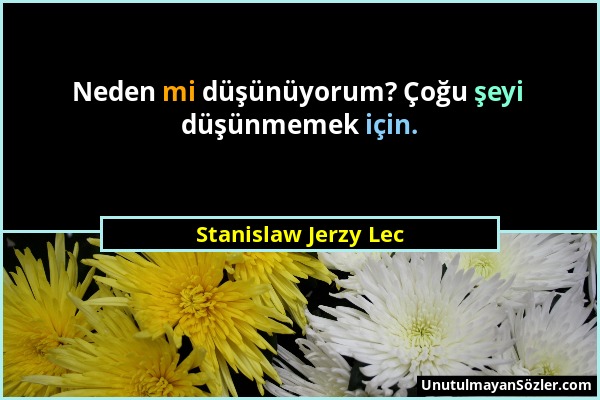 Stanislaw Jerzy Lec - Neden mi düşünüyorum? Çoğu şeyi düşünmemek için....